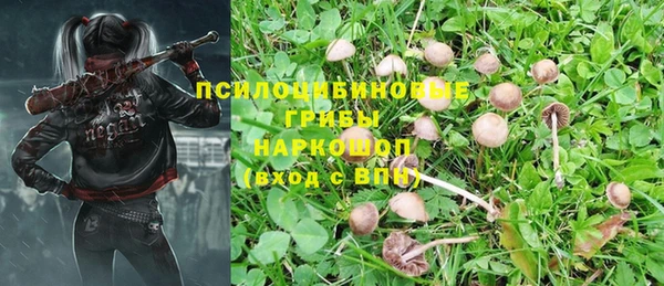 марки nbome Алзамай