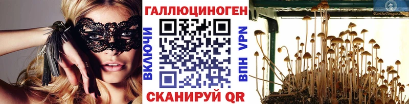 Псилоцибиновые грибы Psilocybine cubensis Новосибирск