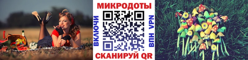 Купить где Новосибирск Псилоцибиновые грибы GOLDEN TEACHER